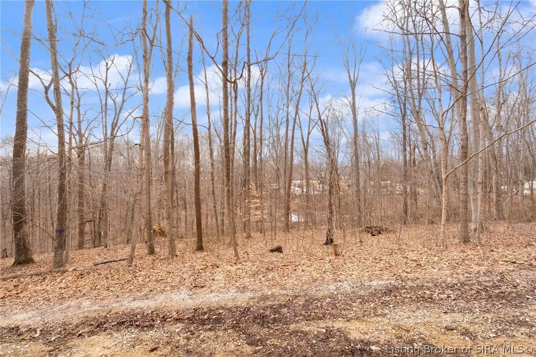 0 S Wild Greenwood Block 9 Lot # 6,8,9,10,11,12, Paoli, IN 47454 - #1