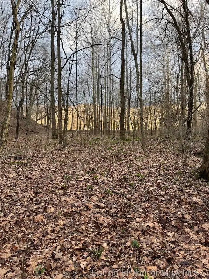 Fields Road, Vallonia, IN 47281 - #1