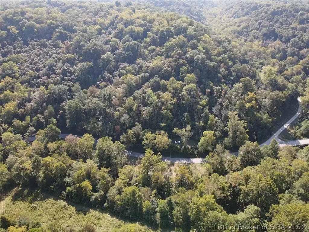 14246 North Branch Road, Patriot, IN 47038 - #1