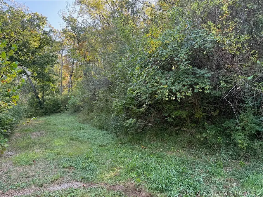 14246 North Branch Road, Patriot, IN 47038 - #3