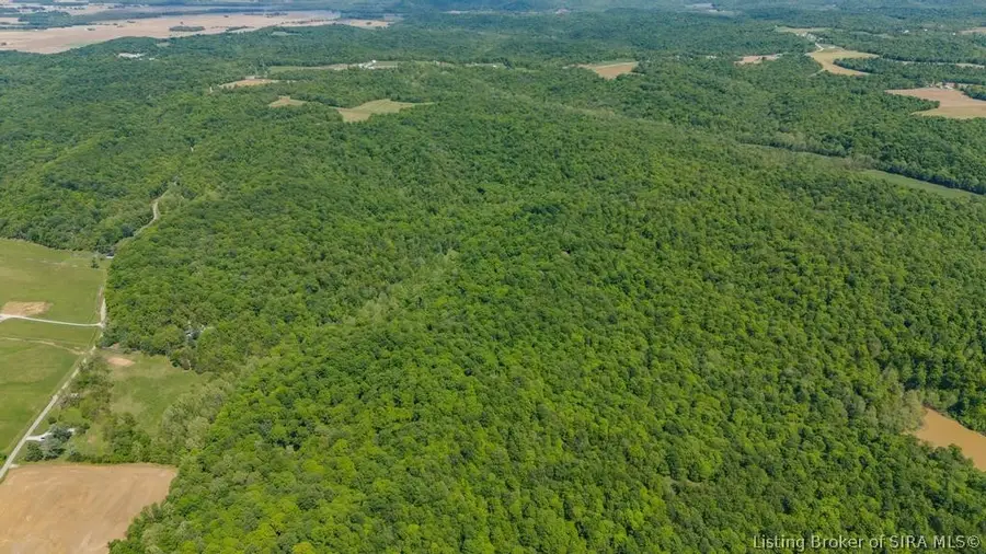 Goat Hollow Road, Vallonia, IN 47281 - #3
