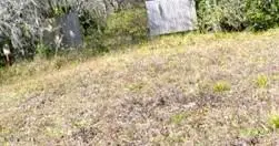 419 State Road 207, East Palatka, FL 32131