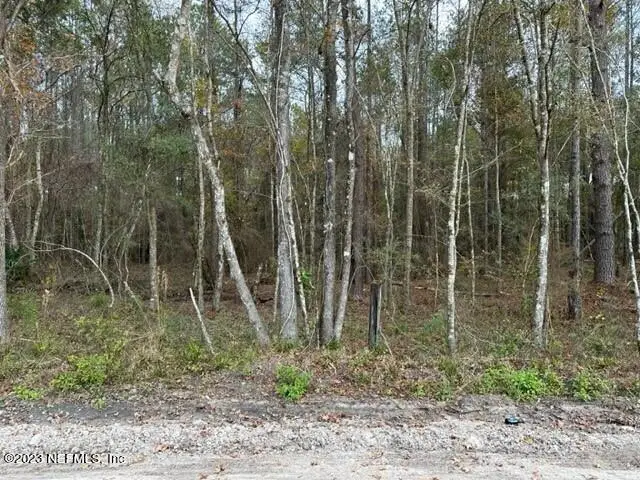 0 SE High Falls Road, Lake City, FL 32025 - Image #1
