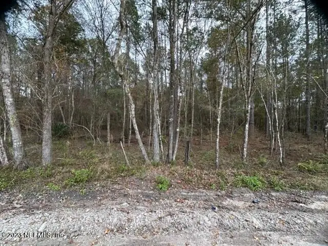 0 SE High Falls Road, Lake City, FL 32025 - Image #2