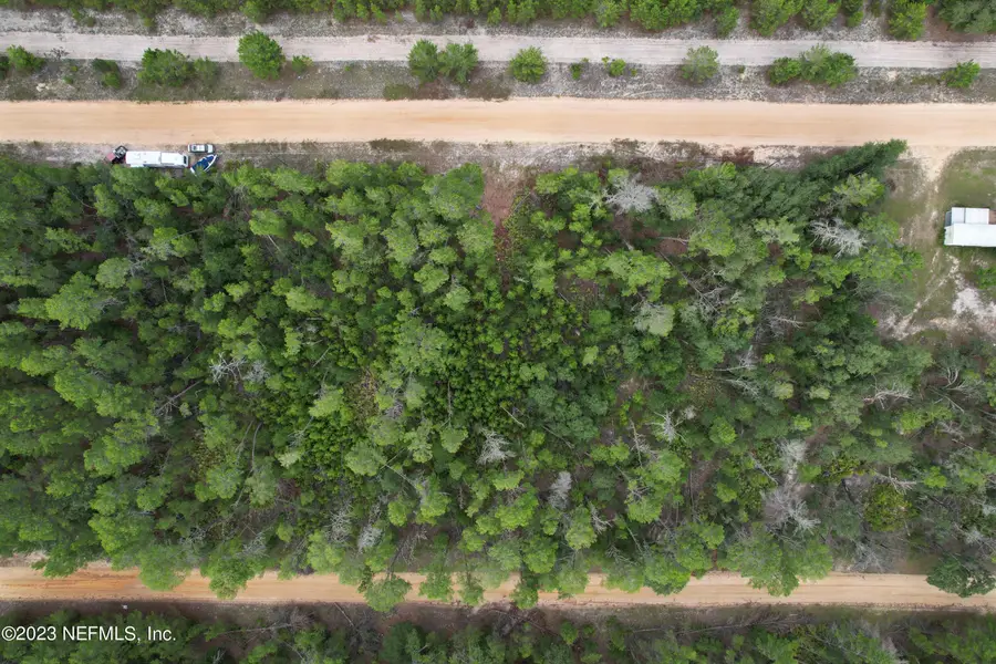 0 Selma Avenue, Interlachen, FL 32148 - #3