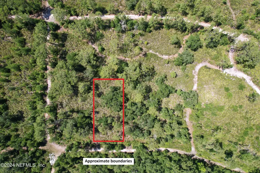 118 Miller Avenue, Crescent City, FL 32112 - Image #2