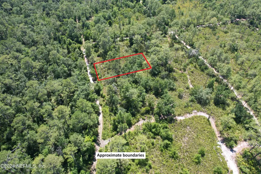 118 Miller Avenue, Crescent City, FL 32112 - Image #3