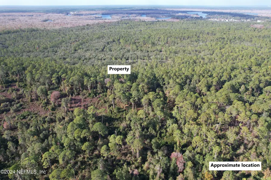 104 Frankfort Street, Satsuma, FL 32189 - #3