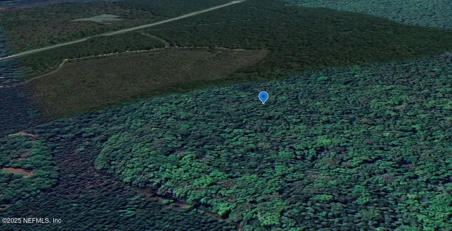 0 Goshawk Road, Palatka, FL 32177 - #2