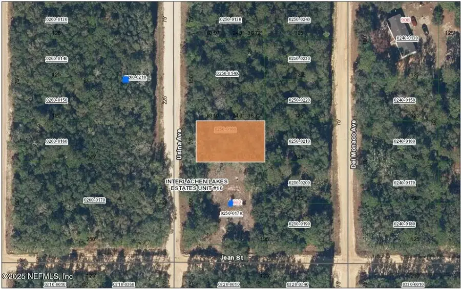 XXX Usina Avenue, Interlachen, FL 32148 - #2