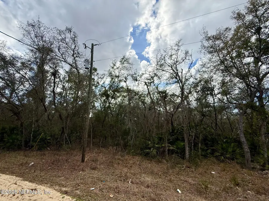 XXX Usina Avenue, Interlachen, FL 32148 - #3