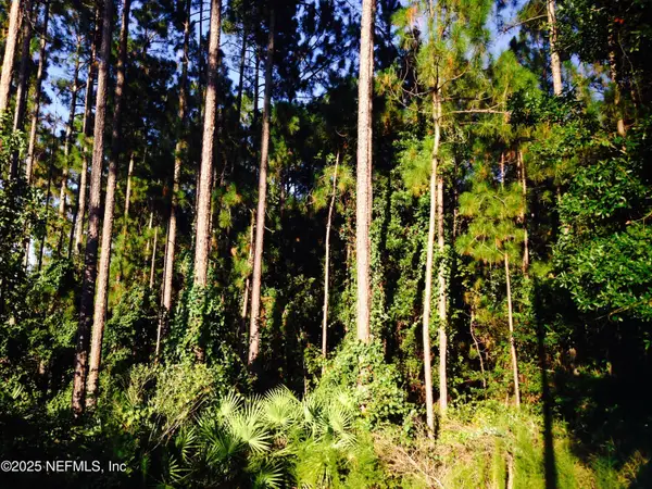 0 Fawn Lake S Drive, Jacksonville, FL 32256