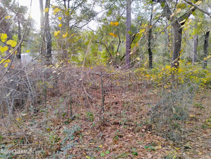 103 Antler Road, Interlachen, FL 32148 - #3