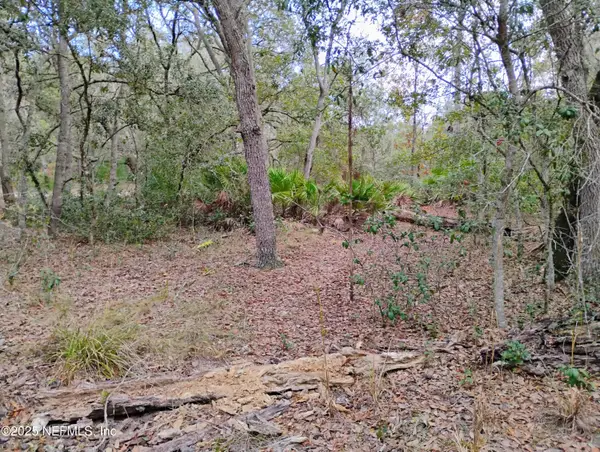 244 Thompson Avenue, Interlachen, FL 32148