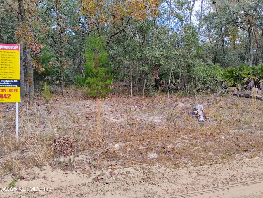 244 Thompson Avenue, Interlachen, FL 32148 - #2