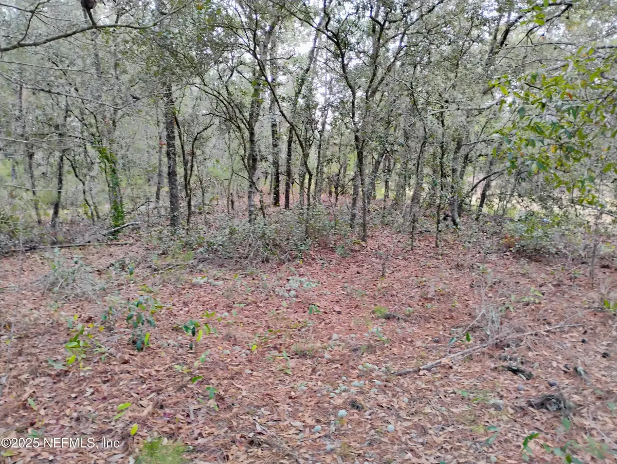 309 Wilson Drive, Interlachen, FL 32148 - #1