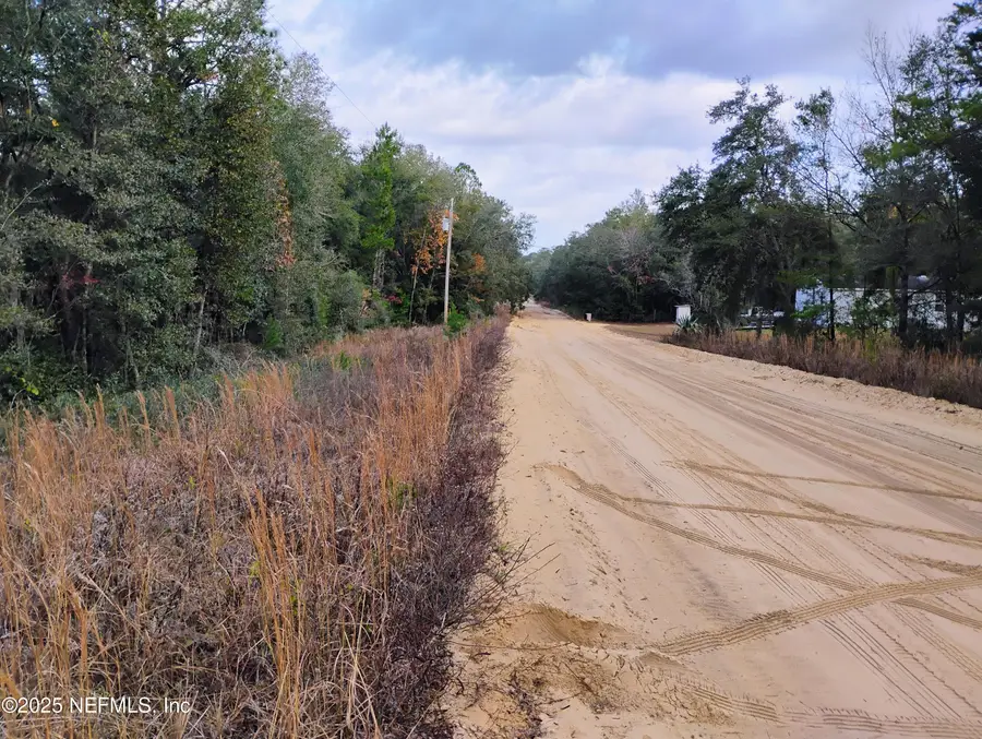 309 Wilson Drive, Interlachen, FL 32148 - #3