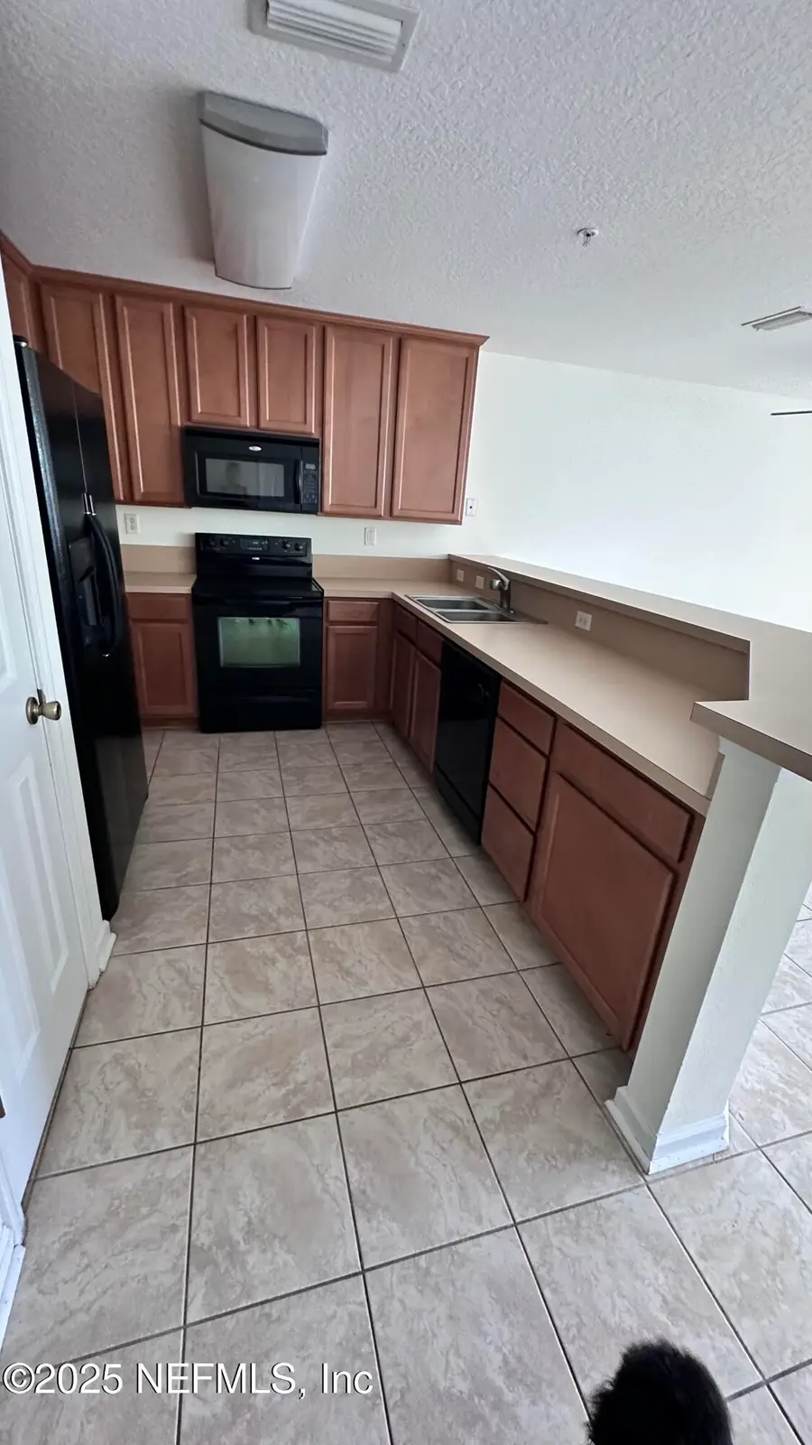 843 Black Cherry S Drive, Saint Johns, FL 32259 - Image #3