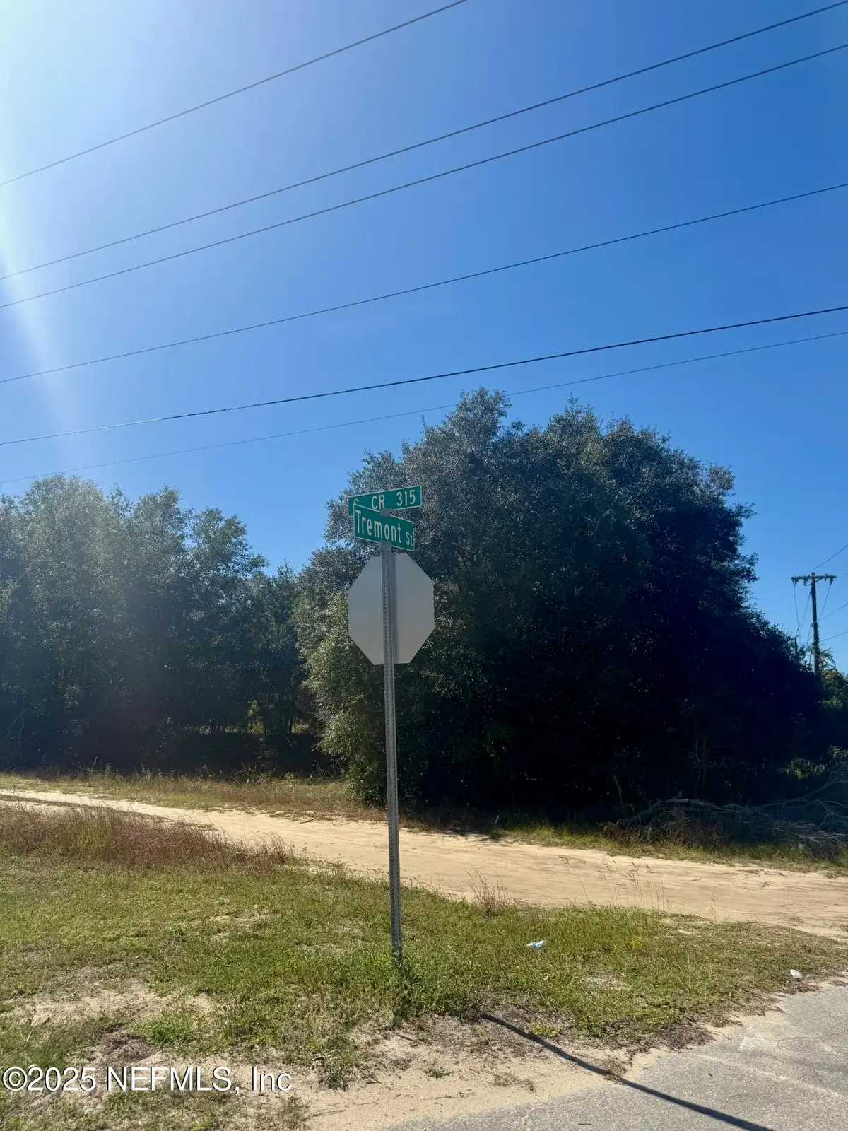 00 S County Rd 315, Interlachen, FL 32148 - Image #1