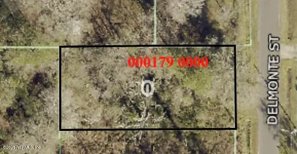 0 Delmonte Street, Baldwin, FL 32234 - Image #2