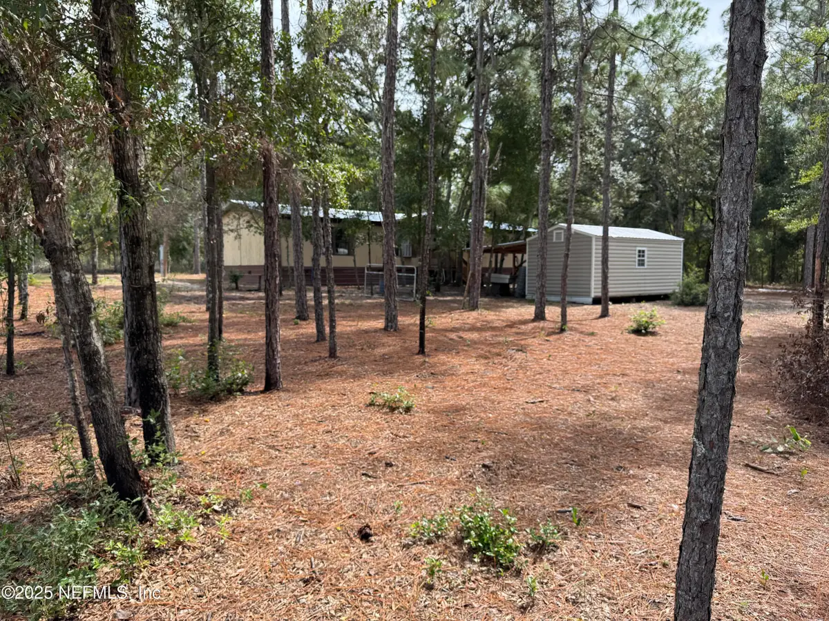 207 Andree Avenue, Interlachen, FL 32148 - Image #1