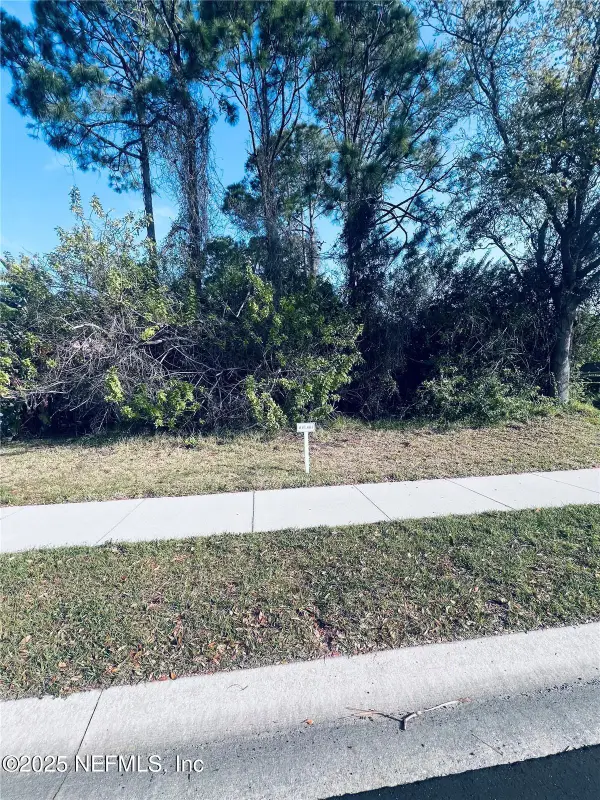 91 Emerald Lake Drive, Palm Coast, FL 32137