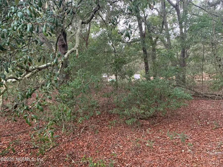 000 Lenore Avenue, Interlachen, FL 32148 - Image #2