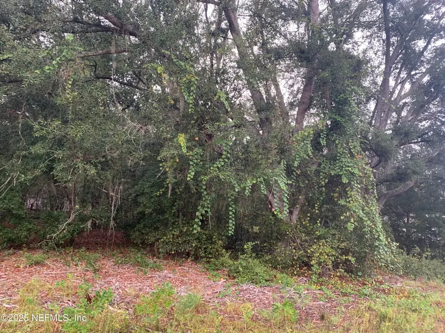 000 Lenore Avenue, Interlachen, FL 32148 - Image #3