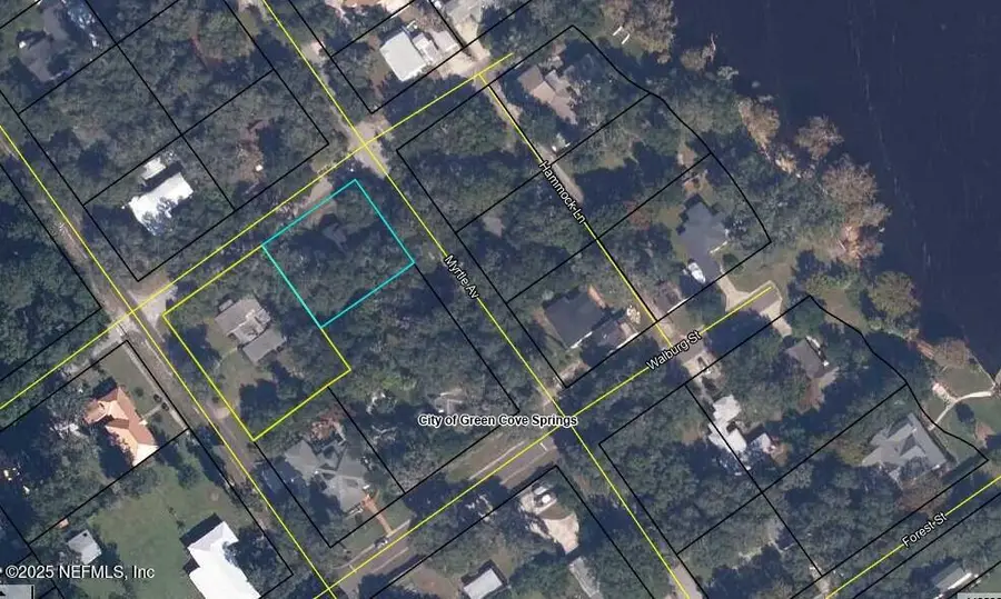 725 Myrtle Avenue, Green Cove Springs, FL 32043 - Image #2