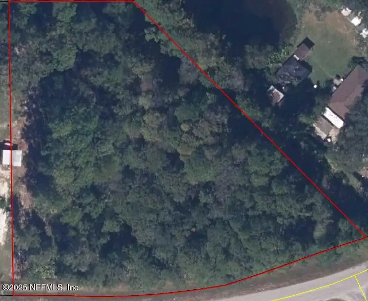 4550 Peppergrass Street, Middleburg, FL 32068 - Image #1