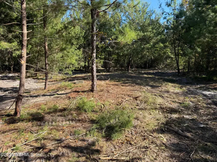 349 Dusty Road, Saint Augustine, FL 32095 - Image #3