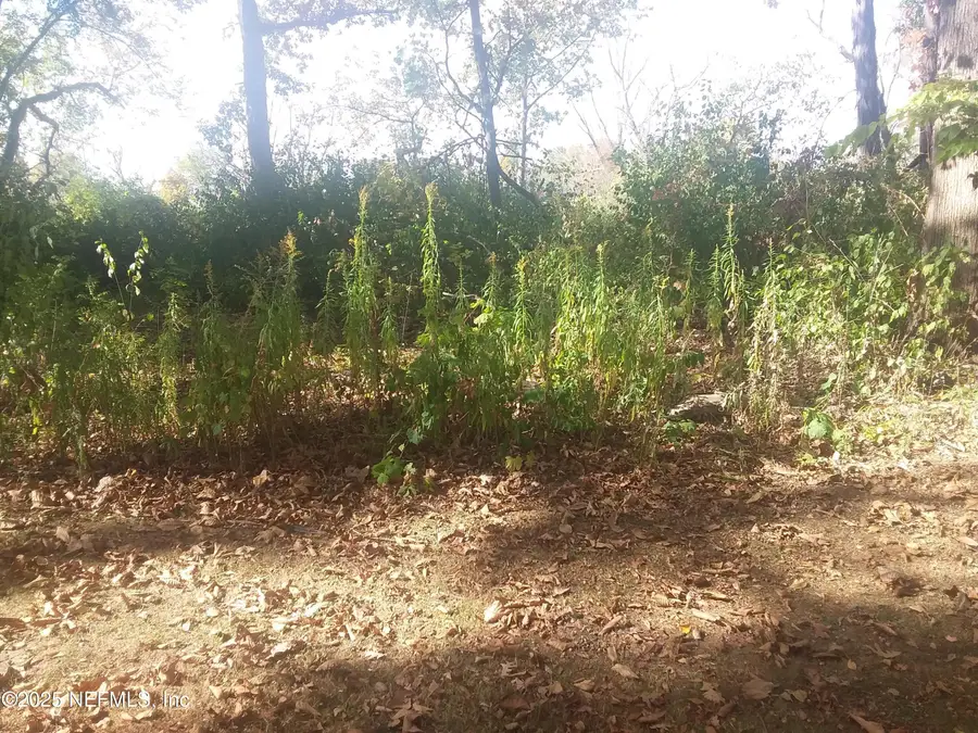 109 Garden Place, Satsuma, FL 32189 - Image #3