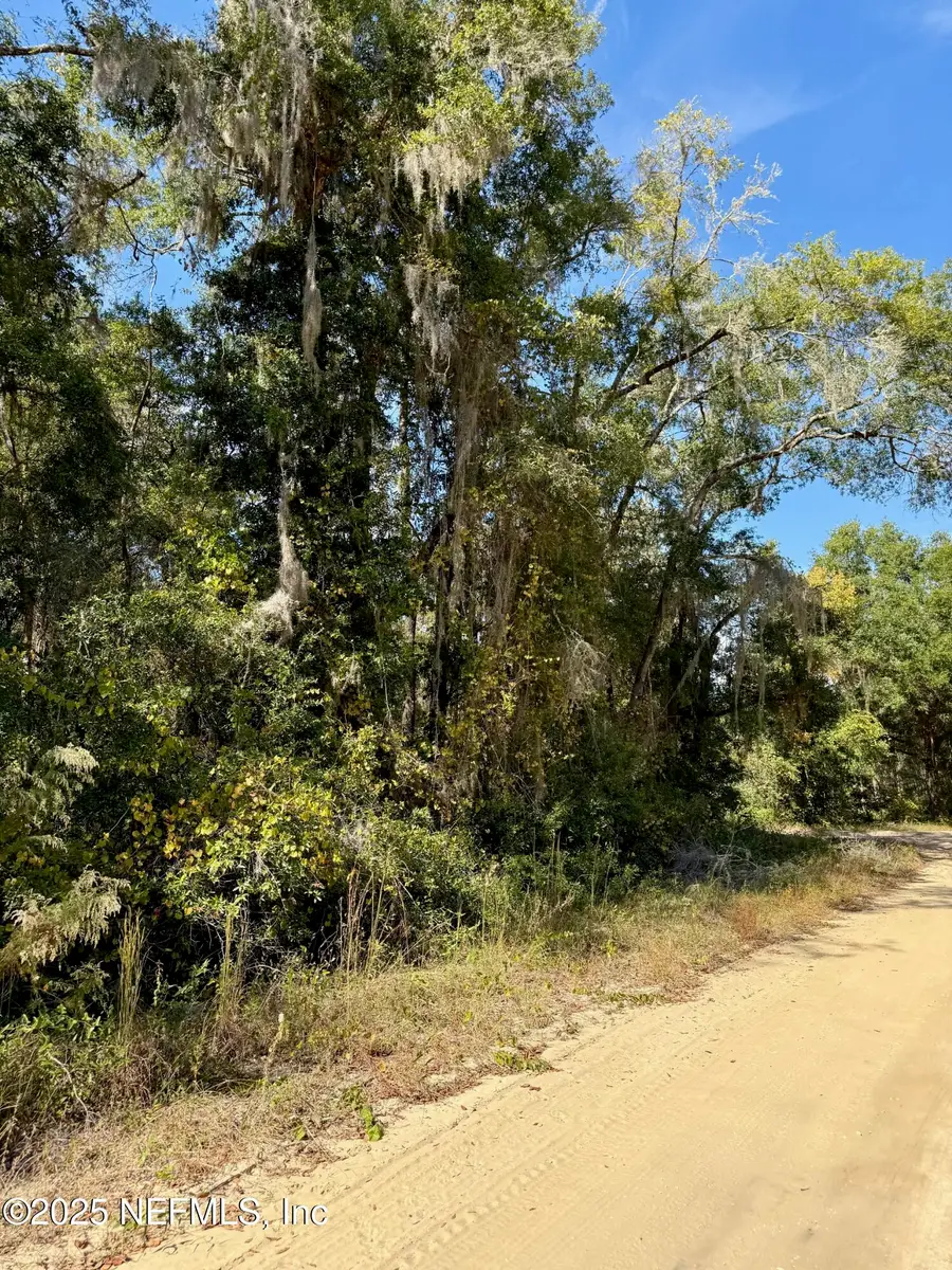 XXX Evans Avenue, Interlachen, FL 32148 - Image #3