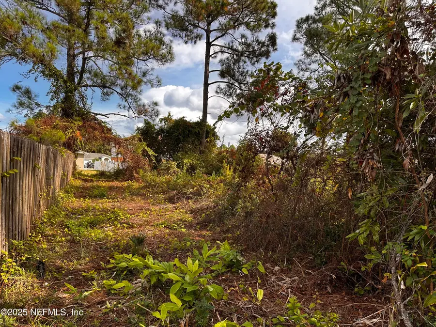 88 Princess Ruth Lane, Palm Coast, FL 32164 - Image #3