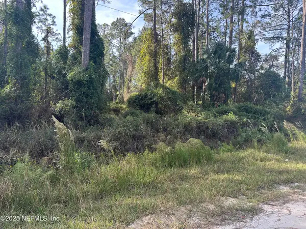 103 Pine Cone Drive, Georgetown, FL 32139