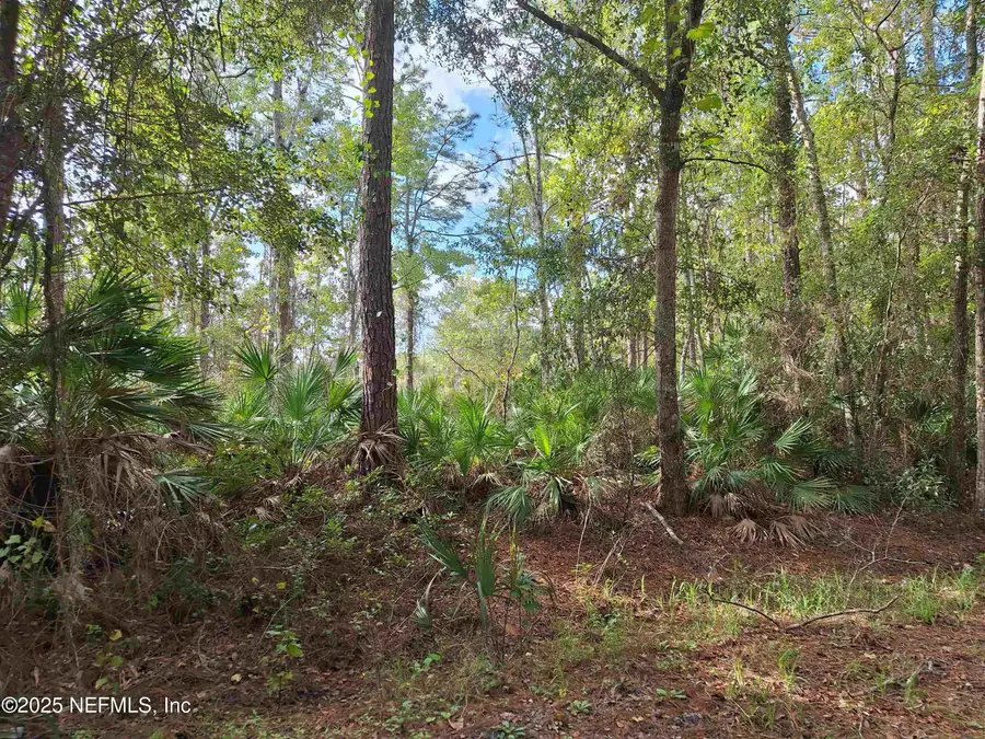 201 Pineway West Avenue, Satsuma, FL 32189 - Image #2