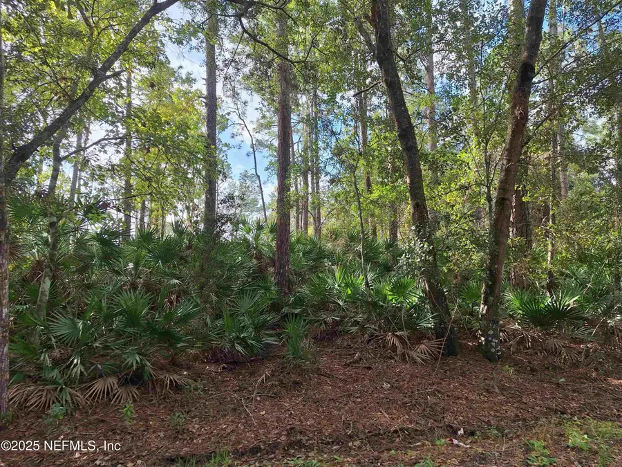 201 Pineway West Avenue, Satsuma, FL 32189 - Image #3