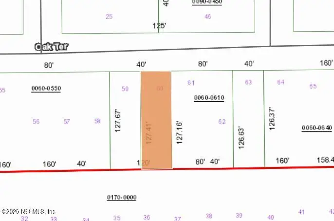 0 Unassigned Road, Interlachen, FL 32148 - Image #2