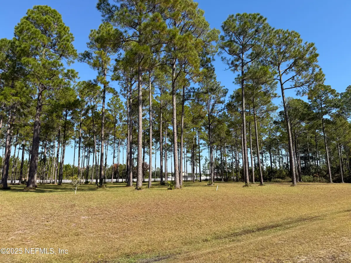10107 Hunters Chase Court, Jacksonville, FL 32219 - Image #1