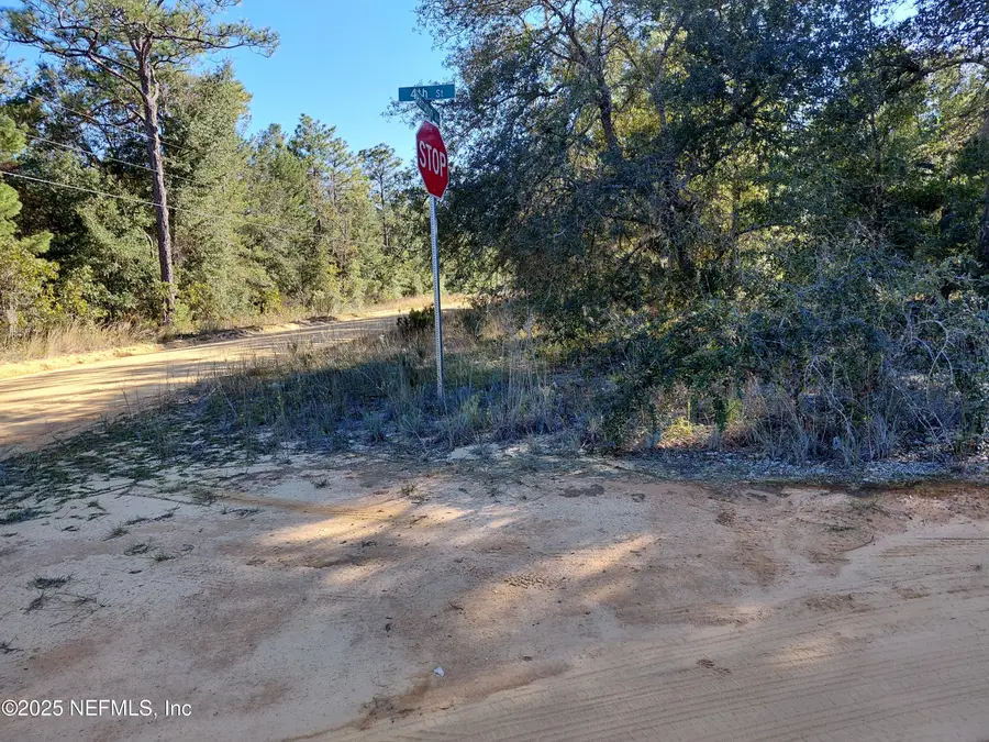 222 Hamilton Avenue, Interlachen, FL 32148 - Image #3