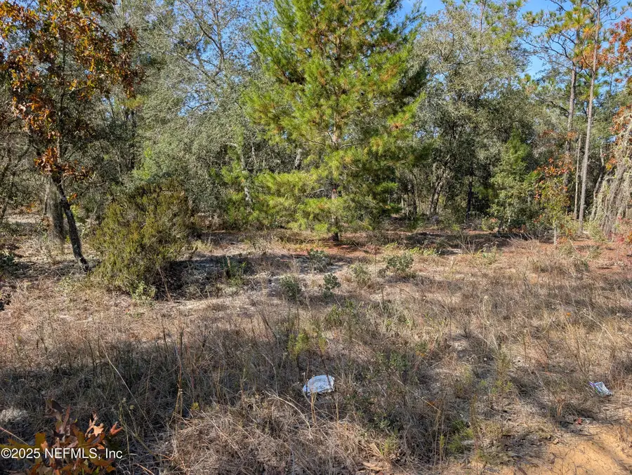 0570-0020 Violet Avenue, Interlachen, FL 32148 - Image #3