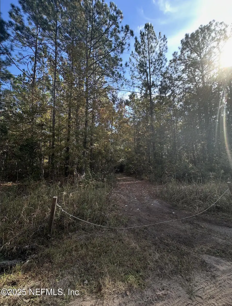 0 Silver Moss Circle, Middleburg, FL 32068 - Image #2