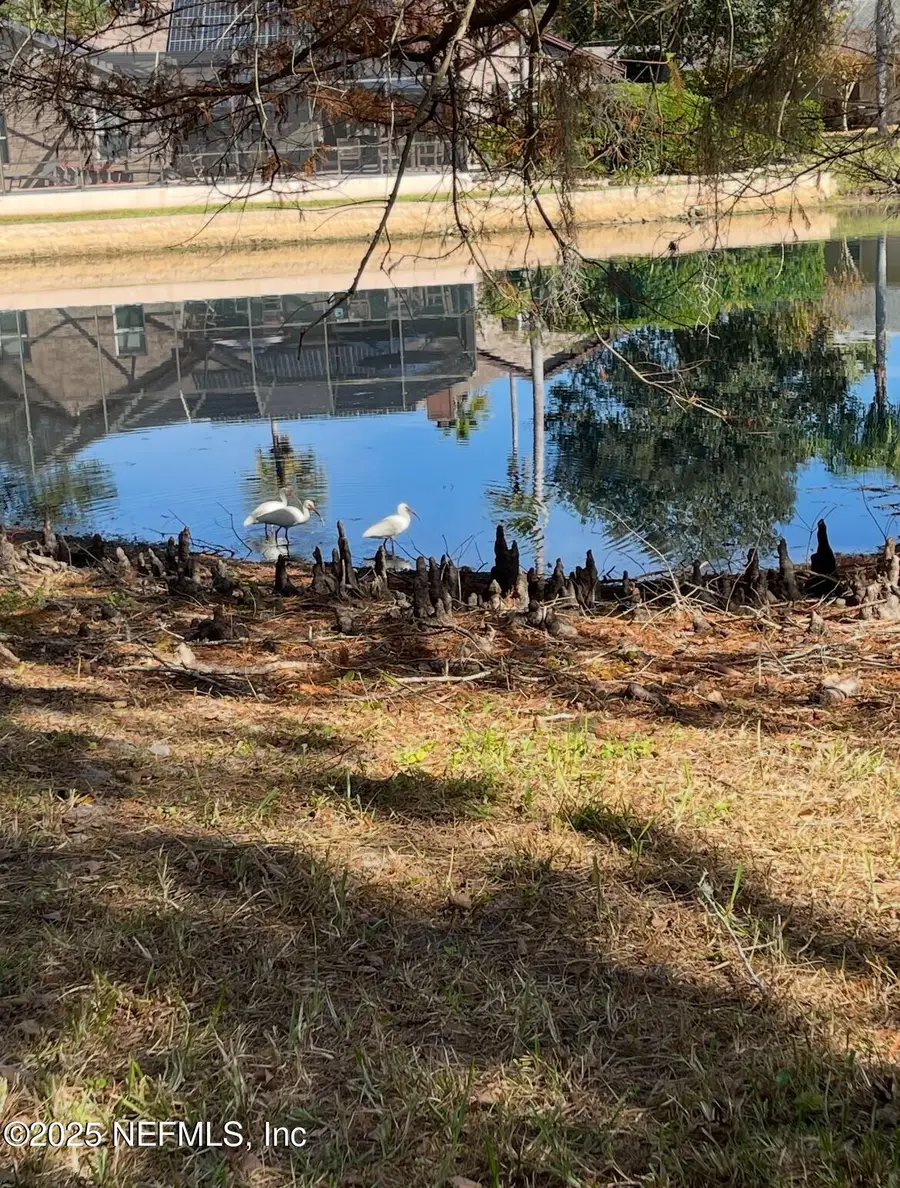 2515 Emperor Drive, Jacksonville, FL 32223 - Image #3