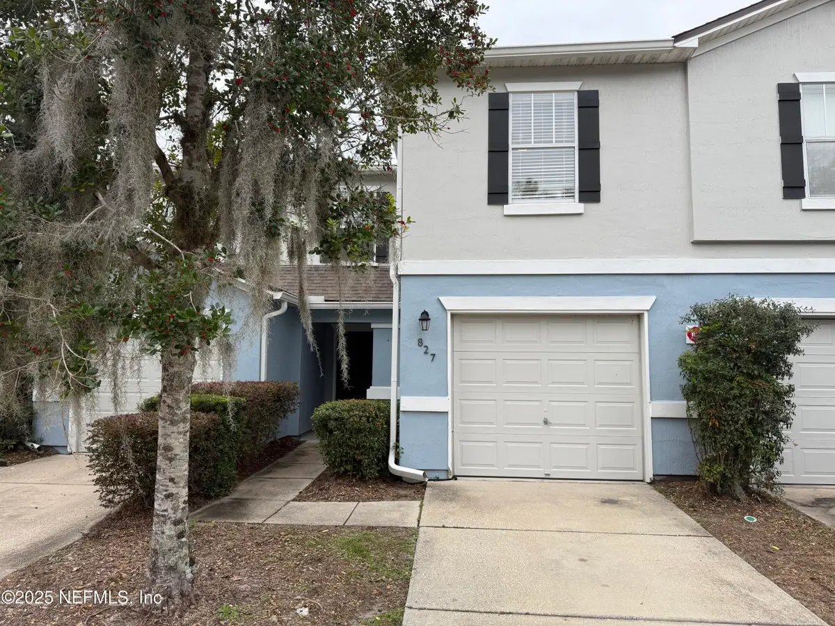 827 Black Cherry S Drive, Saint Johns, FL 32259 - Image #1