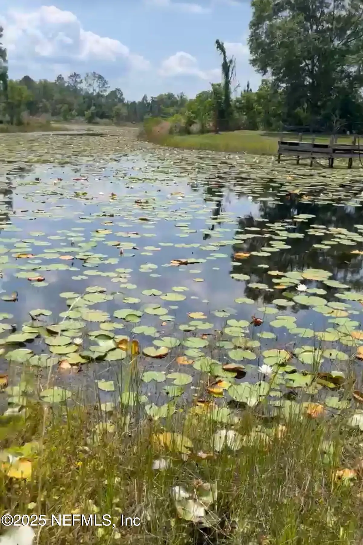 8 Appaloosa Drive Drive, Interlachen, FL 32148 - Image #1