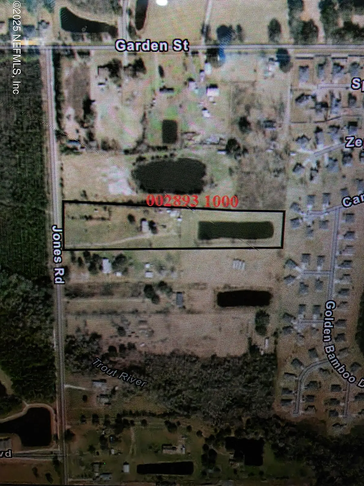 7563 Jones Road, Jacksonville, FL 32219 - Image #1