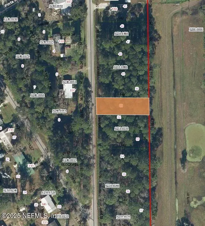 200 San Cristobal Avenue, East Palatka, FL 32131 - #3