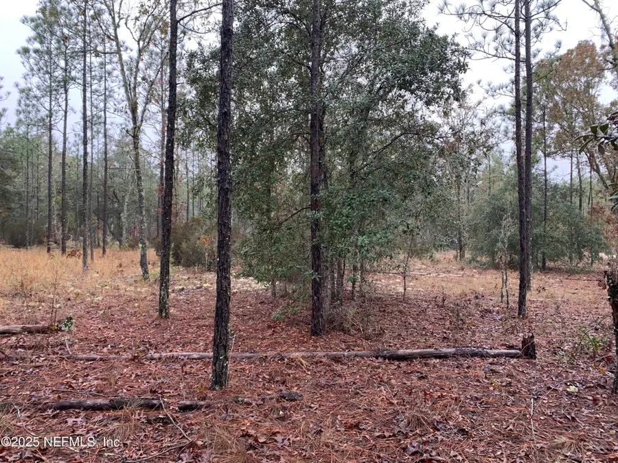 00 Colony Street, Hawthorne, FL 32640 - Image #3