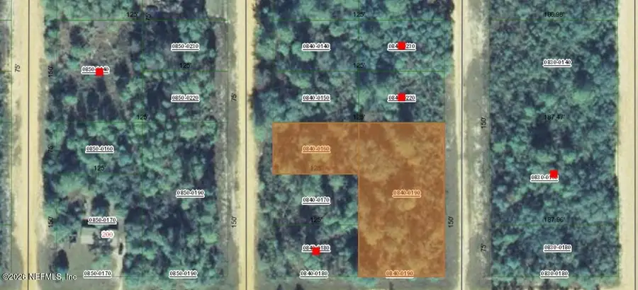 000 Selma Avenue, Interlachen, FL 32148 - #3