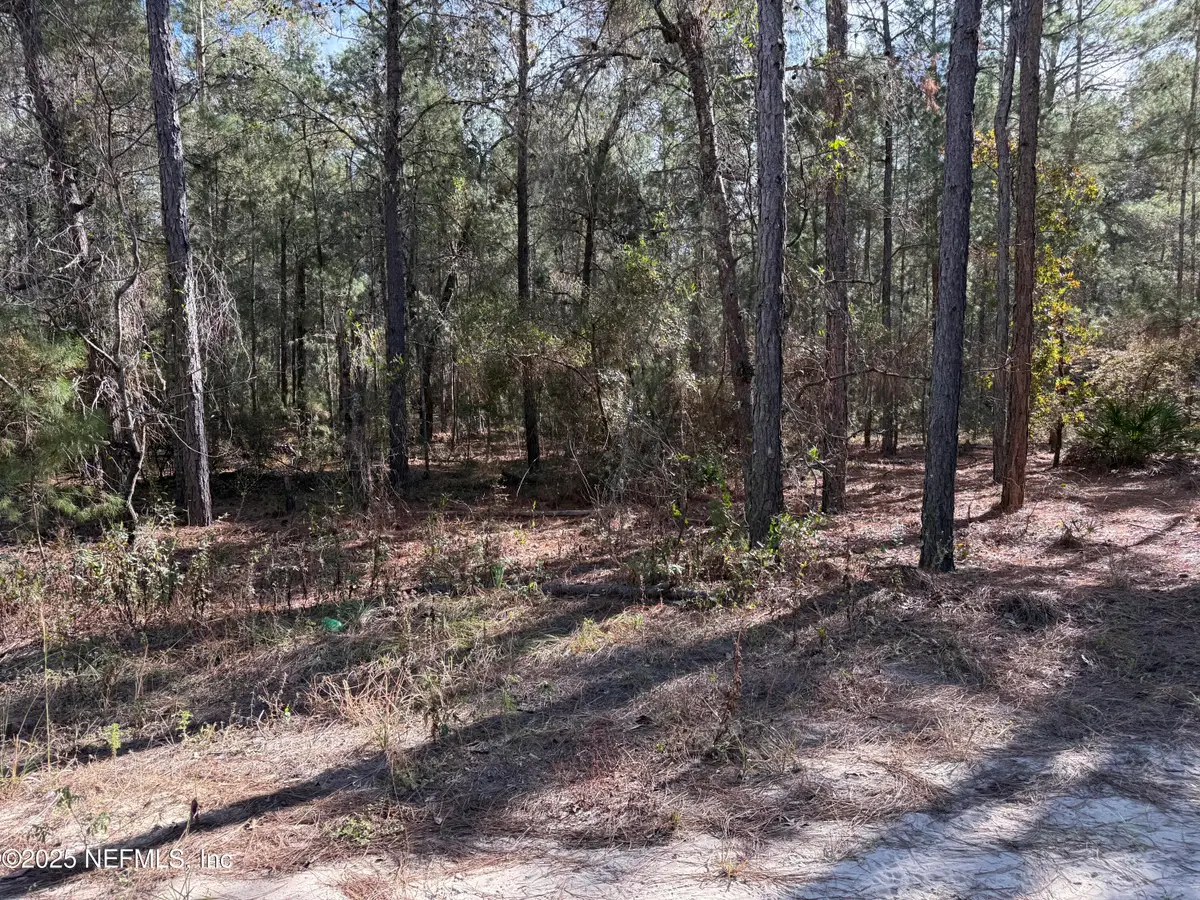 126 E Lura Lane, Florahome, FL 32140 - Image #1